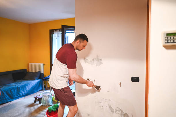 Reliable St Hedwig, TX Mold Remediation Solutions